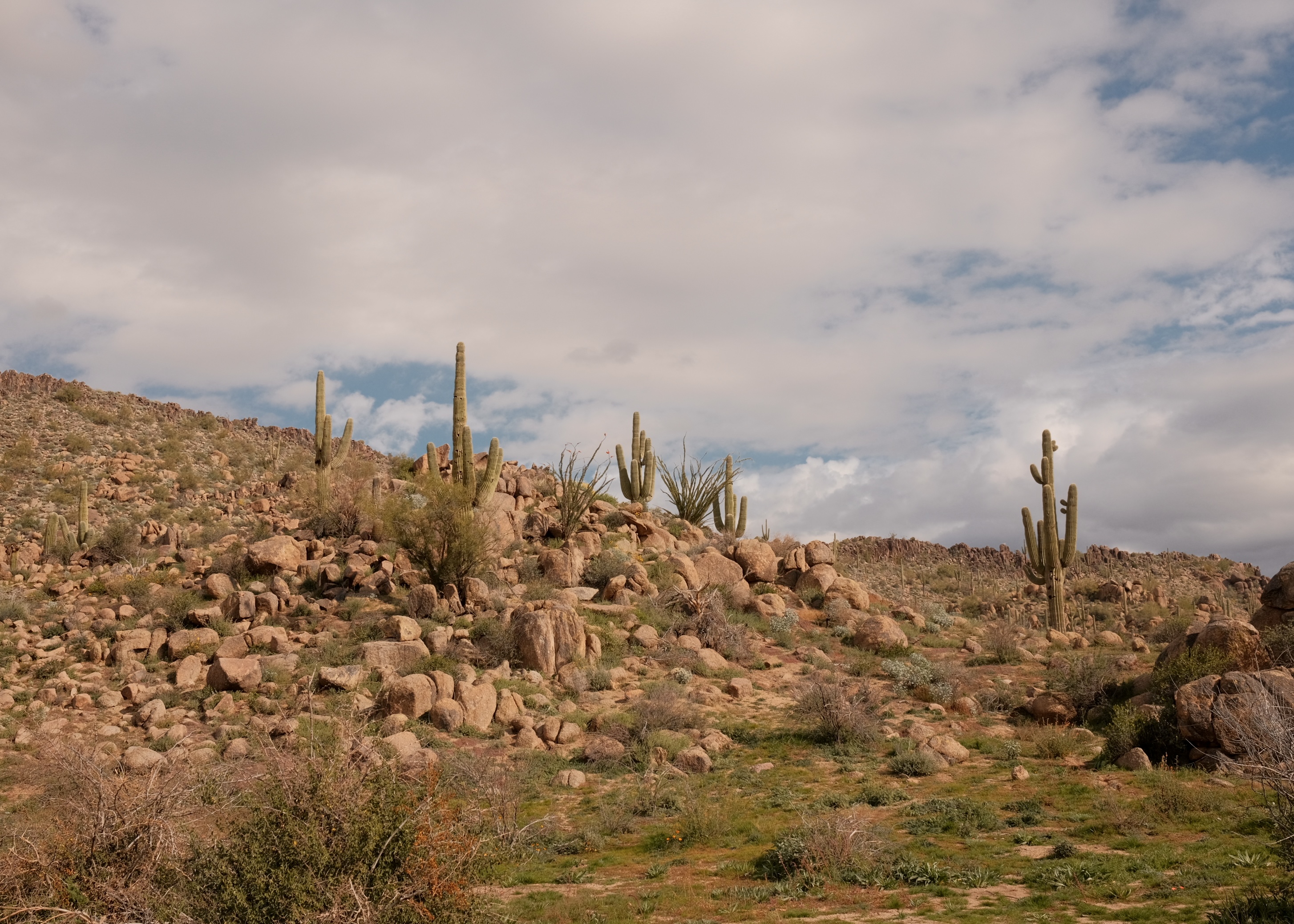 Arizona