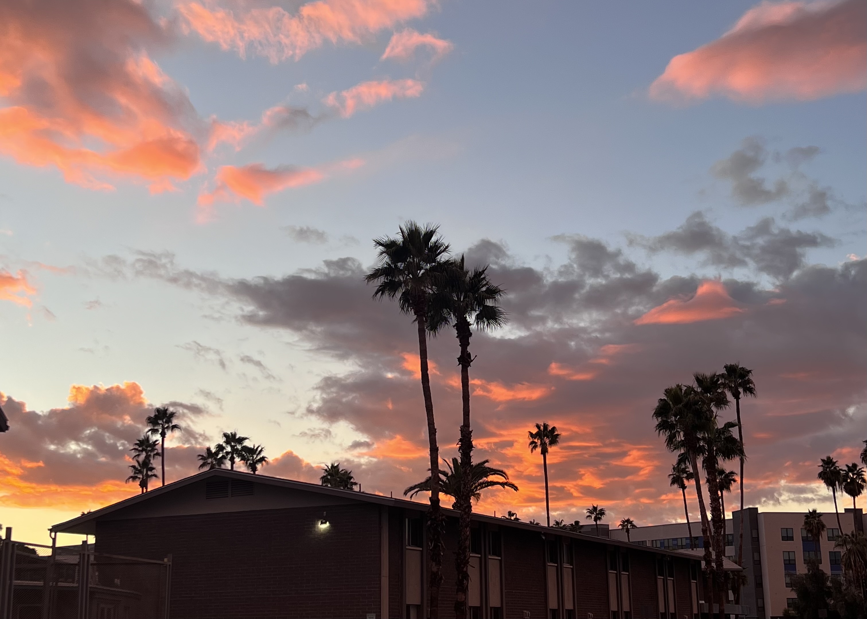 Arizona